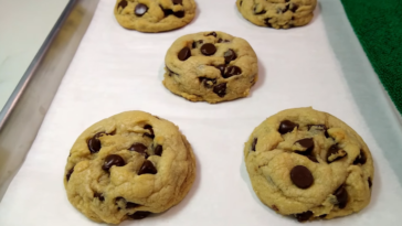 A close-up of four soft batch cream cheese chocolate chip cookies on a baking sheet lined with wax paper. The cookies are golden brown around the edges and have melted chocolate chips throughout.